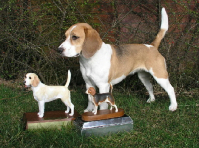 Rocamar  Smiles at Madika with the SBC Beagle of the Year trophy and the Craigmount trophy - both for 2004